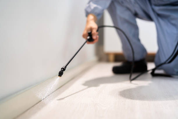 Bed Bug Pre-Treatment Preparation Assessment in Rockdale