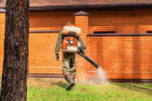 Bed Bug Clearance Verification and Documentation in Rockdale